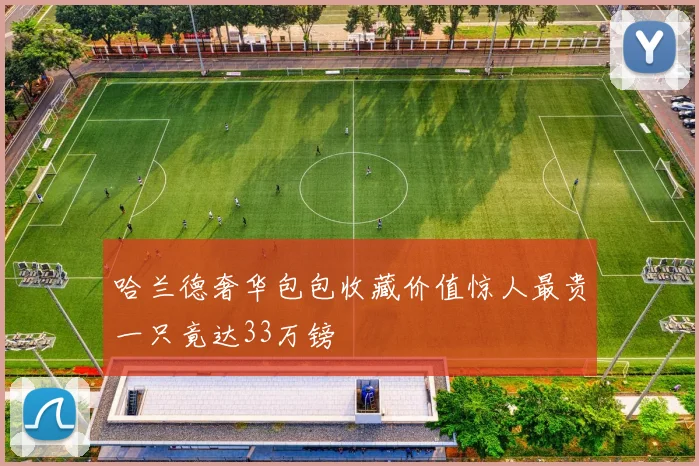 哈兰德奢华包包收藏价值惊人最贵一只竟达33万镑